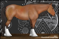 Horse Color:Bay Sabino Tobiano 