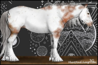 Horse Color:Bay Sabino Frame Rabicano 