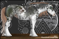Horse Color:Liver Chestnut Sabino Rabicano 