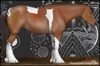 Horse Color:Brown Sabino Tobiano Rabicano