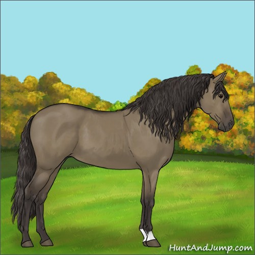 Horse Color:Smoky Grullo 