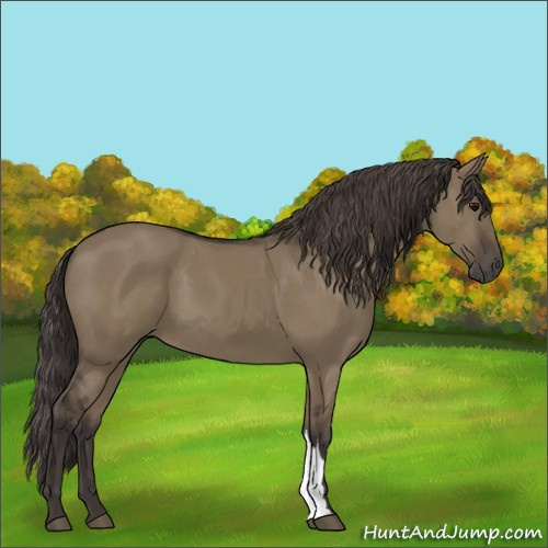 Horse Color:Smoky Grullo 