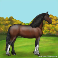 Horse Color:Brown 