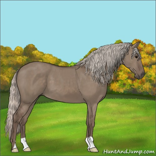 Horse Color:Silver Grullo 