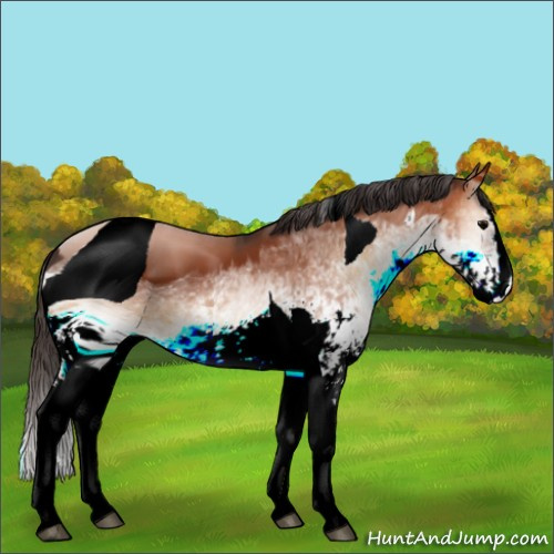 Horse Color:ERROR: UNKNOWN ANOMALY