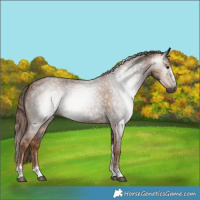 Horse Color:Gray Red Dun Tobiano and Liver Red Roan