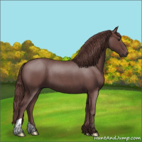Horse Color:Chocolate Smoky Blue Roan 