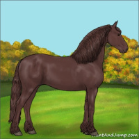 Horse Color:Chocolate Smoky Black 