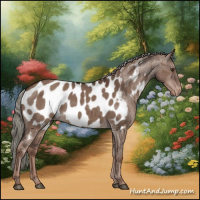 Horse Color:Liver Red Dun Mushroom Appaloosa Brindle