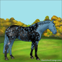 Horse Color:ERROR: UNKNOWN ANOMALY