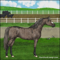 Horse Color:Liver Red Dun Mushroom Brindle