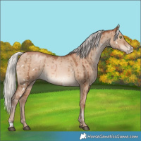 Horse Color:White Spotted Silver Brown Pearl Dun Brindle
