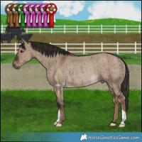 Horse Color:Liver Red Dun Rabicano Brindle