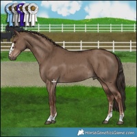 Horse Color:Liver Red Dun Brindle 