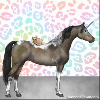 Horse Color:Gray Brown Dun Tobiano Rabicano Brindle 