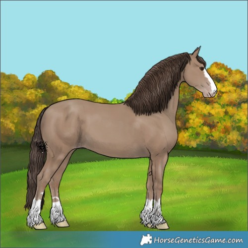 Horse Color:Classic Champagne 