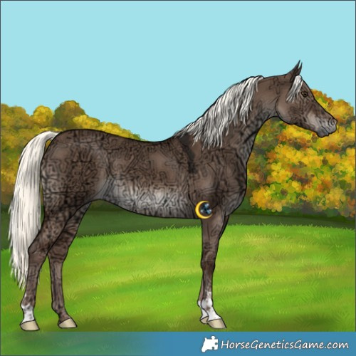 Horse Color:Liver Red Dun Ice Mushroom 