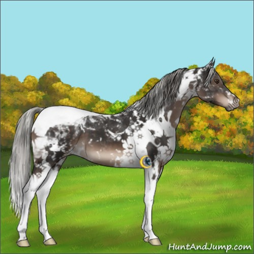Horse Color:White Spotted Liver Chestnut Mushroom Tobiano 
