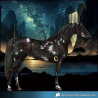 Horse Color:White Spotted Midnight Liver Red Dun Ice 