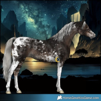 Horse Color:Liver Chestnut Ice Mushroom Tobiano 