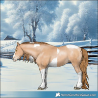 Horse Color:Bay Pearl Tobiano 