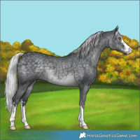 Horse Color:Silver Black Chinchilla 