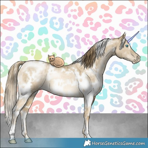 Horse Color:White Spotted Brown Snowdrop Dun Brindle 