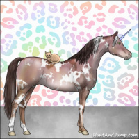 Horse Color:Gray White Spotted Liver Red Dun Pearl