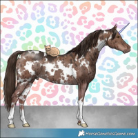 Horse Color:White Spotted Liver Red Dun Brindle