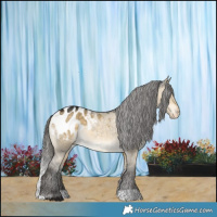 Horse Color:Buckskin Dun Blanket 