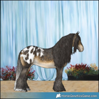 Horse Color:Buckskin Blanket 