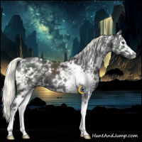 Horse Color:White Spotted Liver Chestnut Mushroom 