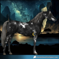 Horse Color:White Spotted Liver Chestnut Ice Mushroom