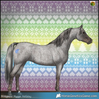 Horse Color:Blue Roan and Silver Blue Roan