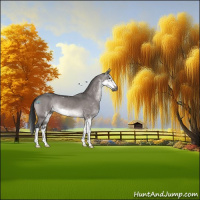 Horse Color:Gray Platinum Brown Dun Sabino Rabicano 
