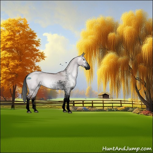 Horse Color:Gray Void Platinum Brown Dun Sabino