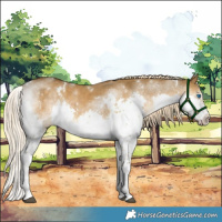 Horse Color:White Spotted Chocolate Palomino Dun Splash Tobiano Rabicano 