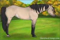 Horse Color:Bay Roan Dun 
