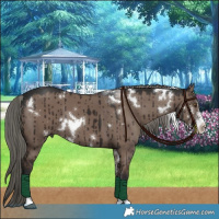 Horse Color:White Spotted Liver Red Dun Mushroom Sabino Brindle
