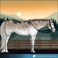 Horse Color:White Spotted Liver Red Dun Mushroom Tobiano Rabicano Brindle 