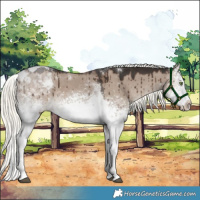 Horse Color:White Spotted Liver Red Dun Mushroom Tobiano Brindle 