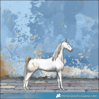 Horse Color:Buckskin Pearl Dun Appaloosa Brindle 