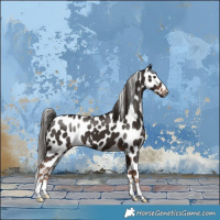 Horse Color:Liver Chestnut Leopard 