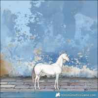 Horse Color:Liver Red Dun Pearl Appaloosa Brindle 