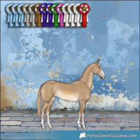 Horse Color:Chocolate Palomino Dun Brindle 