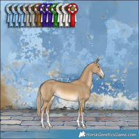 Horse Color:Chocolate Palomino Dun Brindle 