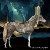 Horse Color:Liver Red Dun Ice Tobiano Rabicano 