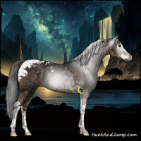 Horse Color:Gray Liver Chestnut Ice Splash Tobiano 