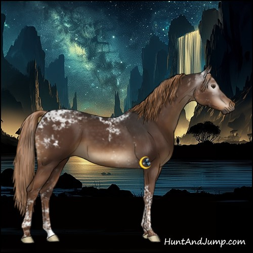 Horse Color:Gray Liver Chestnut Tobiano