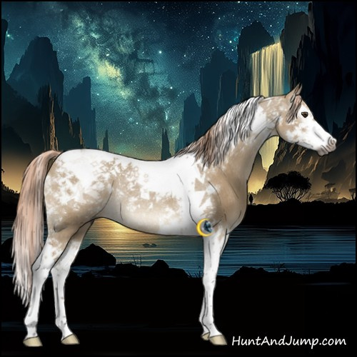 Horse Color:Gray Liver Red Dun Splash Tobiano Rabicano 